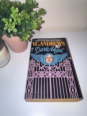 Dark Angel Paperback Book - Black with Pink & Blue Cover